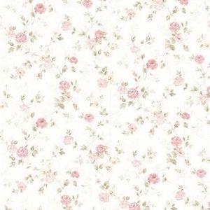 Meet your Posher, Zi